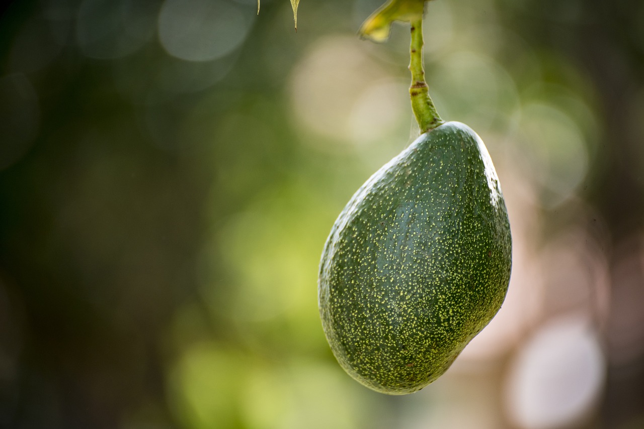 How to Make Your Own Organic Salad Dressings